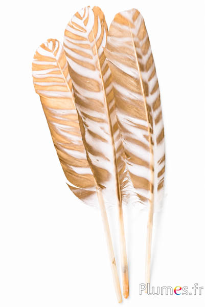 Schwan Modell 1 - 30-33 cm - weiß-gold
